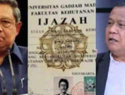 Agri Fanani Digugat Demokrat, Klaim Somasi Tak Pernah Sampai