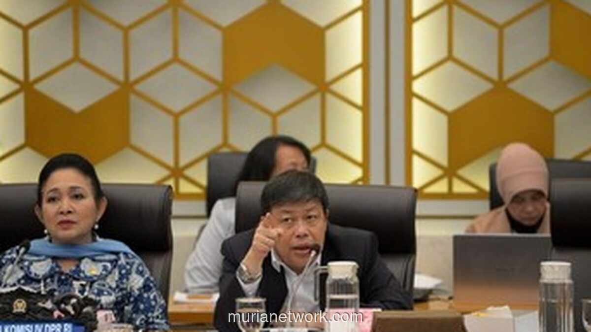 Mendagri Izinkan Warga Manfaatkan Kayu Hanyut untuk Bangun Rumah