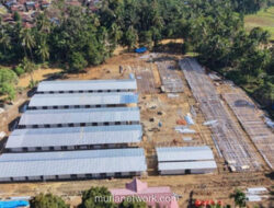 Listrik Gratis 6 Bulan untuk Korban Banjir di Huntara Aceh dan Sumatera