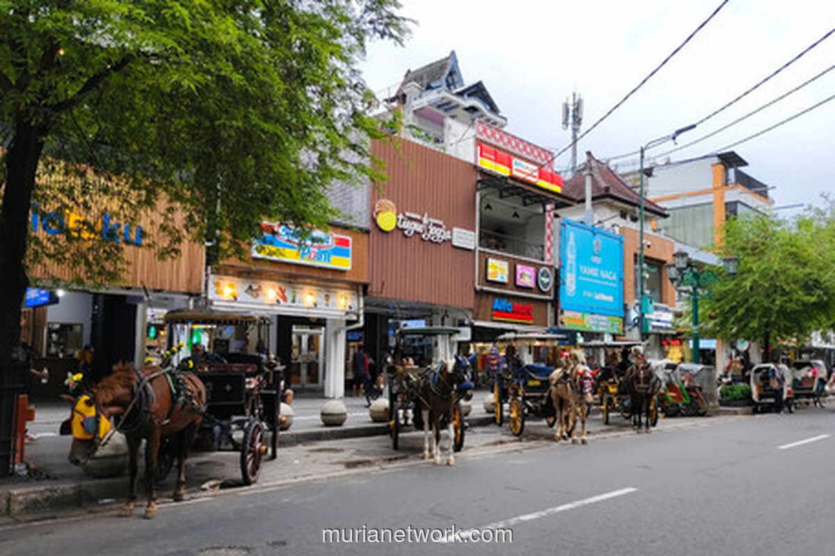 Kuda Andong Jatuh di Malioboro, Pengurus Bantah Tudingan Kelelahan