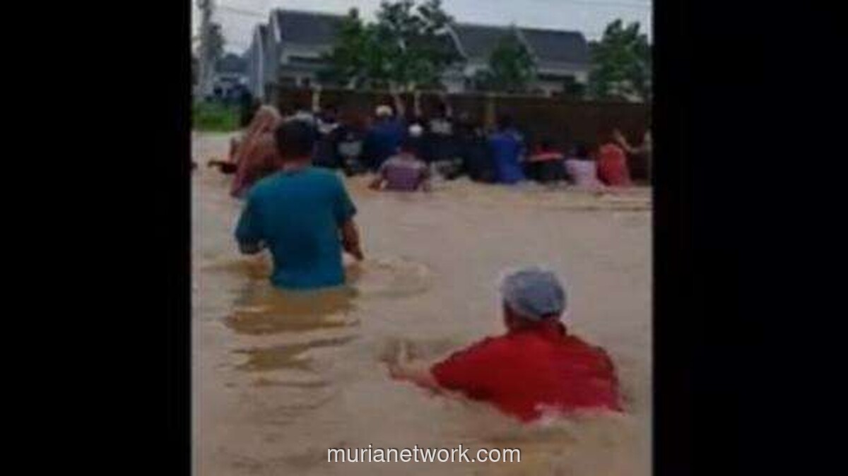 Amukan Petani Bogor: Pagar Perumahan Dibongkar Usai Sawah Terendam Banjir