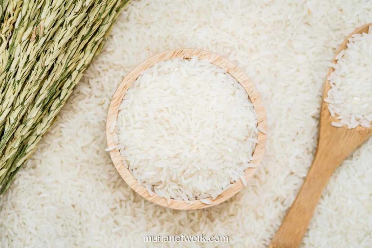 Amran Tegaskan Indonesia Tak Akan Impor Beras: Stok Kita Melimpah