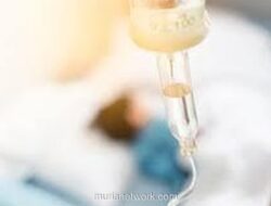 Menu Bergizi Gratis Picu Keracunan Massal, Ratusan Siswa Grobogan Terluka