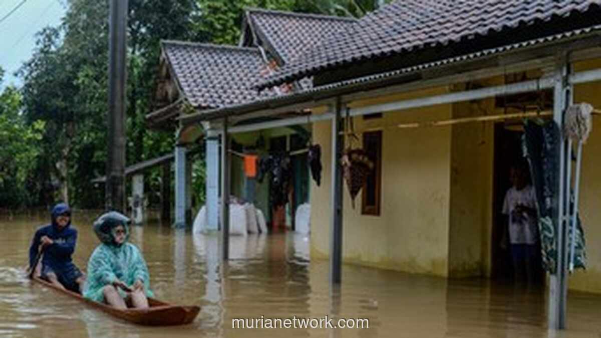 Banjir Rendam Ribuan Hektar Sawah Banten, Ratusan Hektar Puso