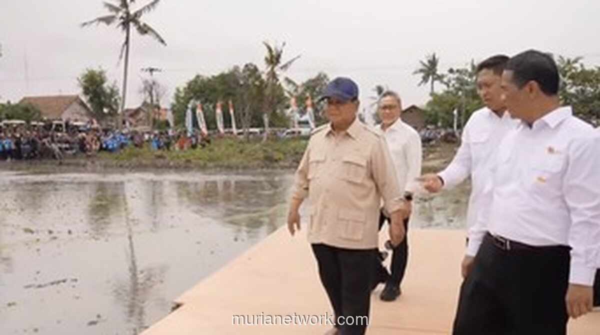 Prabowo Umumkan Swasembada Pangan di Tengah Hamparan Padi Menguning Karawang