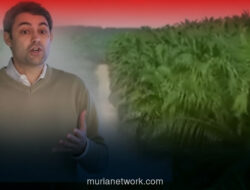 Menteri Keuangan Ungkap Kecurangan Ekspor Sawit, AI Jadi Senjata Baru