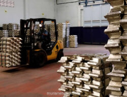 Minyak Mentah Melonjak 2,5%, Timah Jadi Bintang di Tengah Pelemahan Komoditas