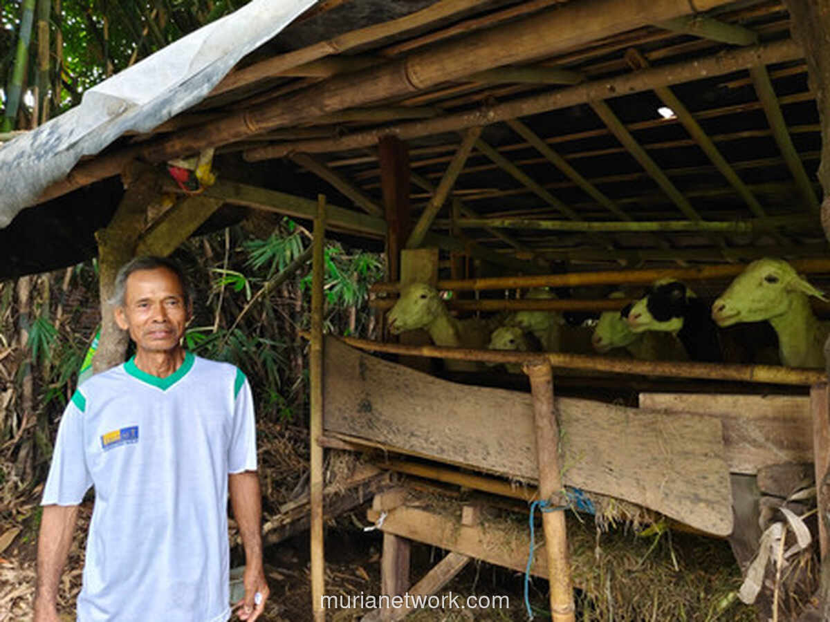 Anjing Liar Teror Kambing Warga Tobayan, Empat Ekor Tewas dalam Dua Bulan