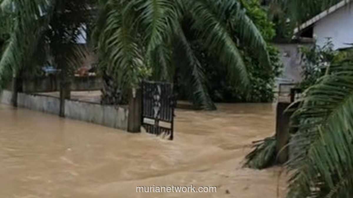 Aceh Timur Terendam, Air Hampir Setinggi Dada di Titik Terparah