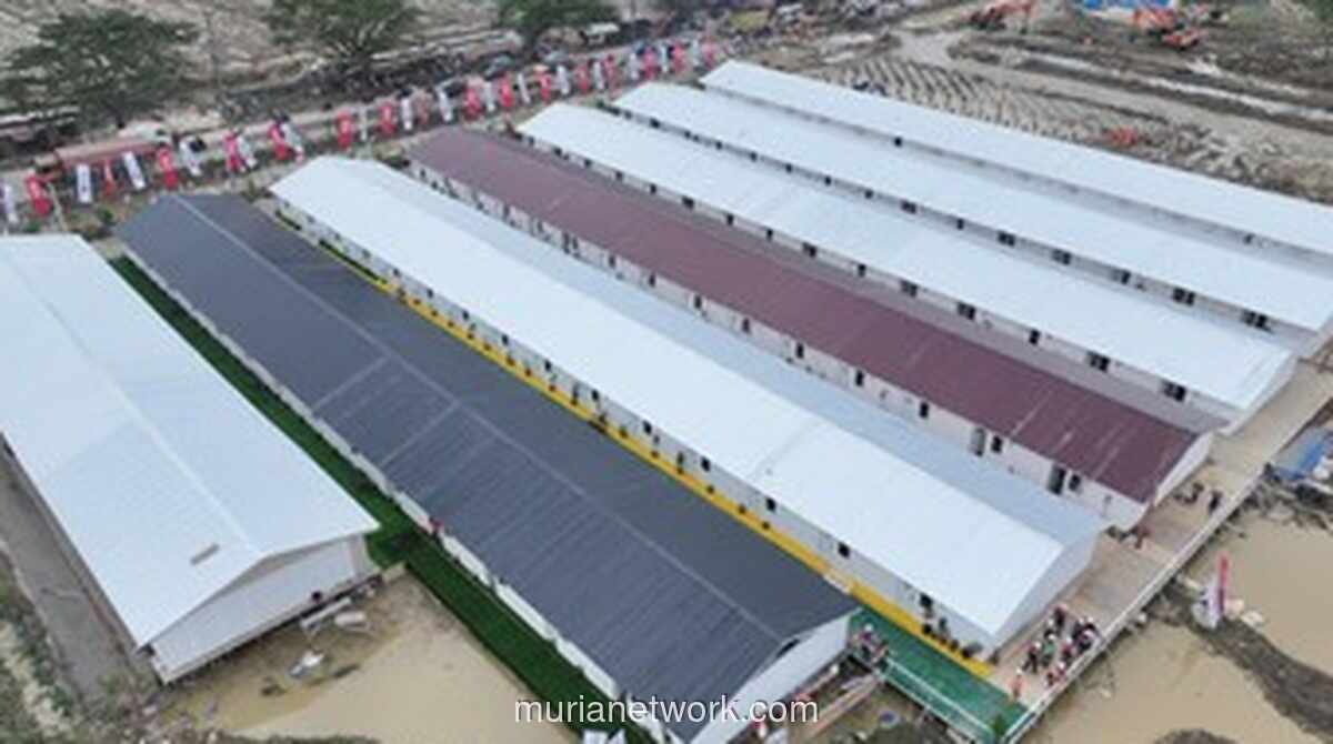 Kolaborasi Danantara dan PTPP Genjot Pembangunan Hunian Sementara untuk Korban Bencana Aceh Tamiang