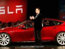 Tesla Tersalip BYD, Masa Depan Elon Musk Kini Bergantung pada Robotaxi