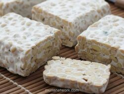 Tempe Naik Kelas: Riset BRIN Ungkap Potensi Superfood Asli Indonesia