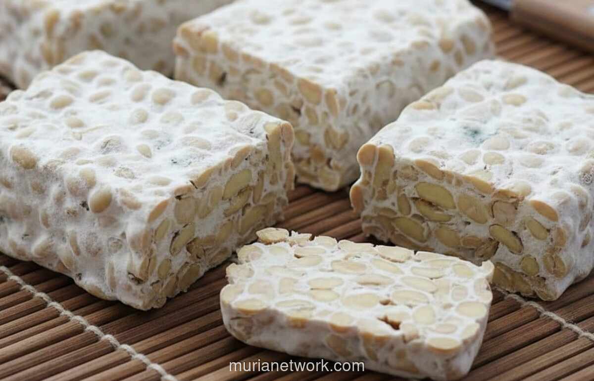 Tempe Naik Kelas: Riset BRIN Ungkap Potensi Superfood Asli Indonesia