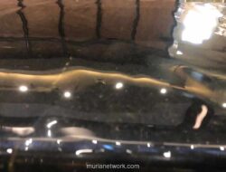 Keculasan Politik yang Dibenarkan: Stabilitas atau Kedangkalan Demokrasi?