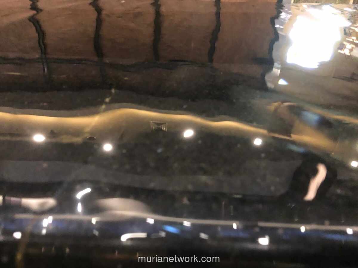 Keculasan Politik yang Dibenarkan: Stabilitas atau Kedangkalan Demokrasi?