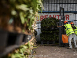 Pemerintah Pacu 34 Proyek Sampah Jadi Listrik di Awal Tahun