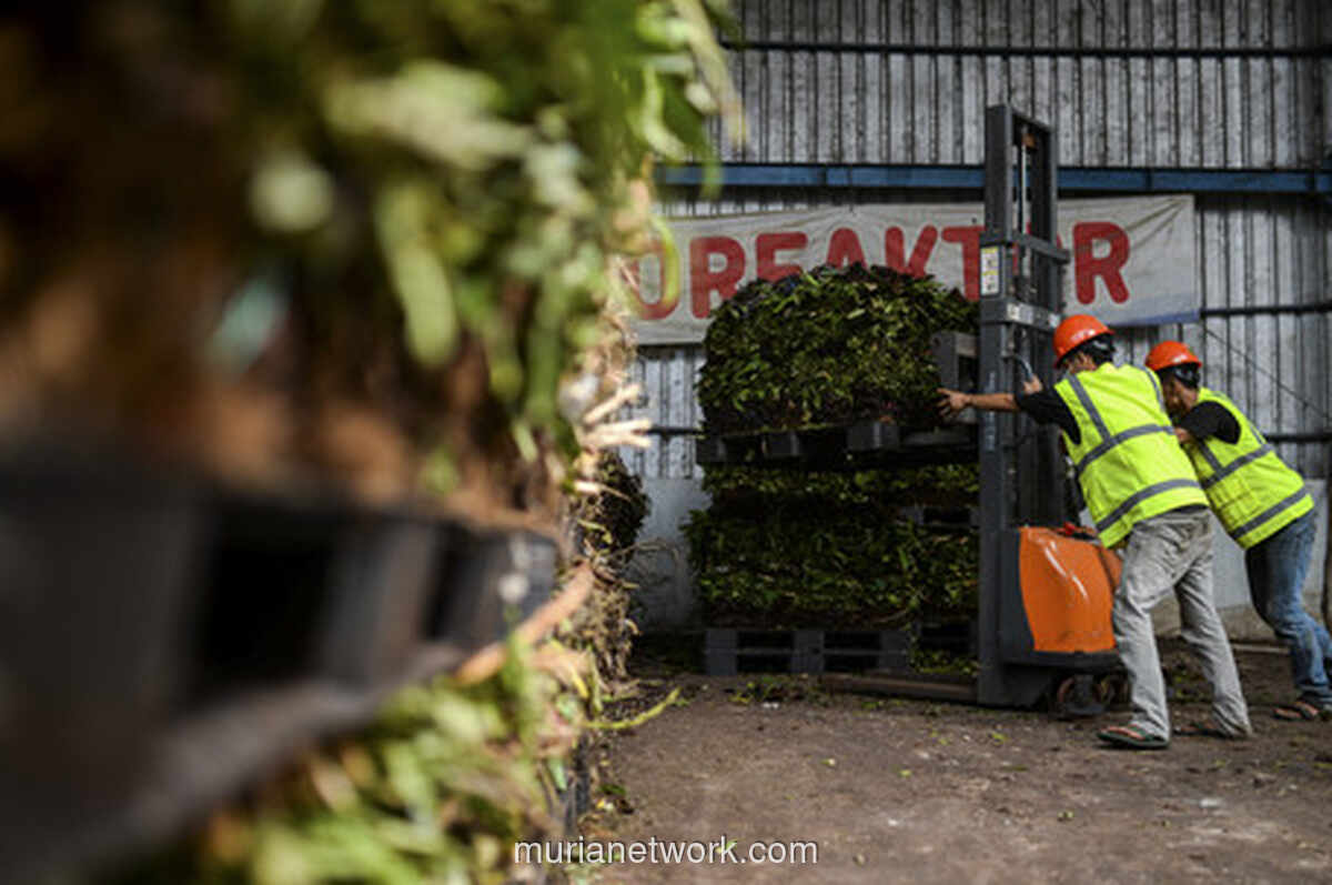 Pemerintah Pacu 34 Proyek Sampah Jadi Listrik di Awal Tahun