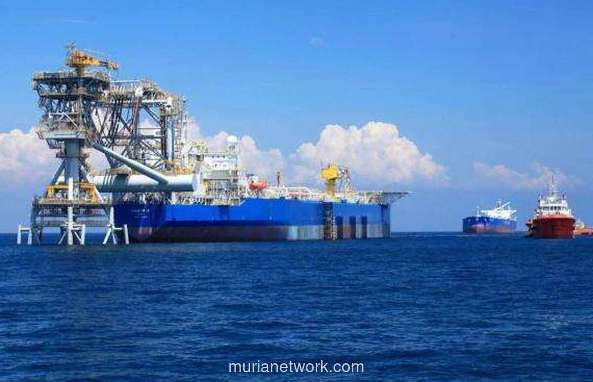 Dana IPO RATU Rp212 Miliar Ludes, Terbesar Disuntikkan ke Anak Usaha