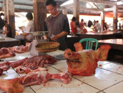 Indonesia Blokir Daging Babi Spanyol Imbas Wabah Demam Babi Afrika
