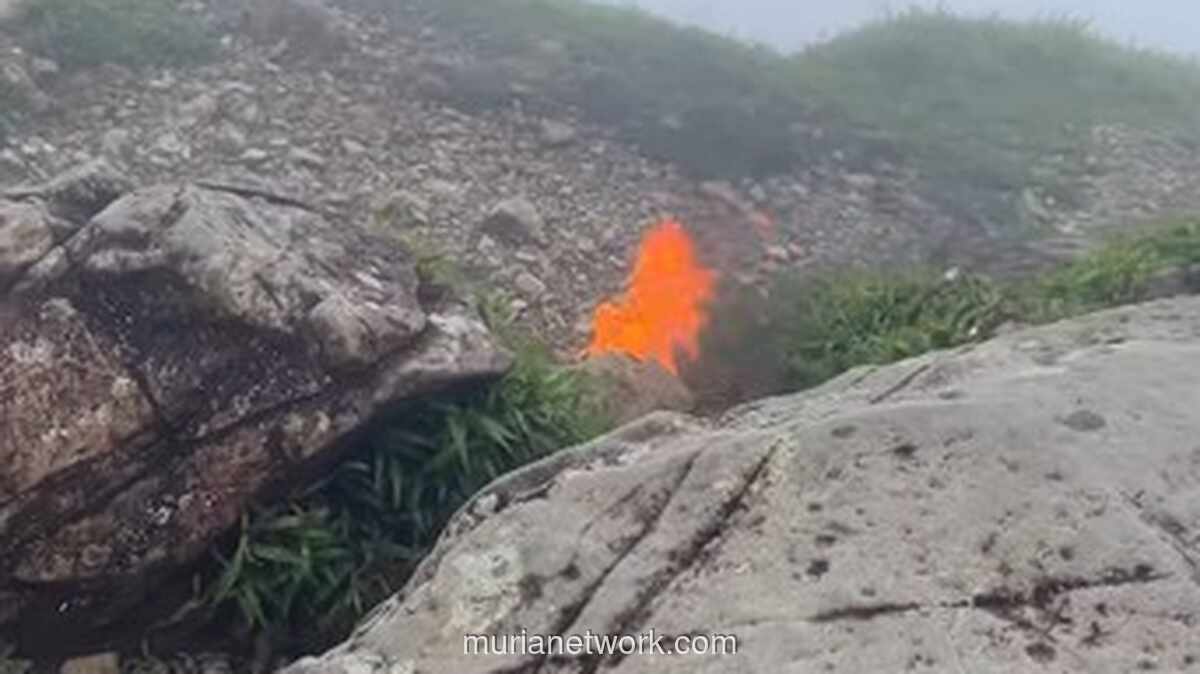 Pendaki Pemula di Bulusaraung Jadi Saksi Mata Pesawat Jatuh