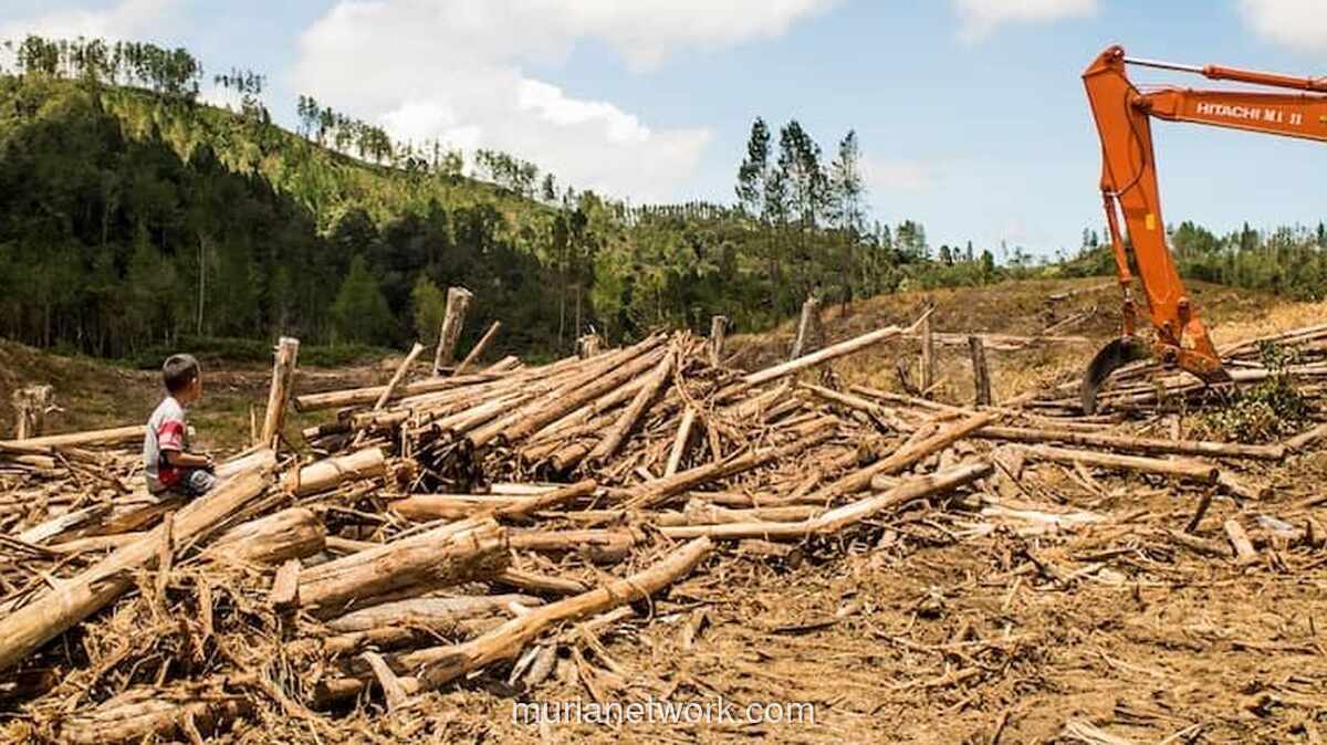 Walhi Sumut: Pencabutan Izin Perusahaan Perusak Hutan Bisa Jadi Sekadar Pencitraan