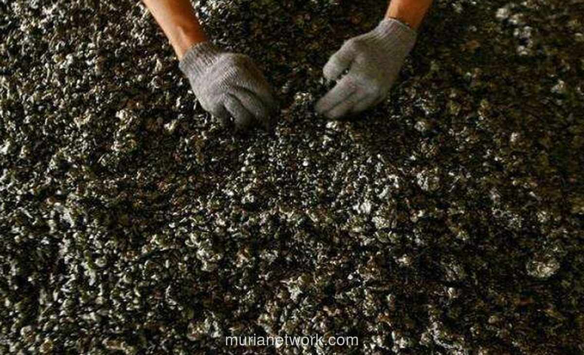 United Tractors Gencar Bor, Suntik Rp23,8 Miliar untuk Eksplorasi Nikel dan Emas