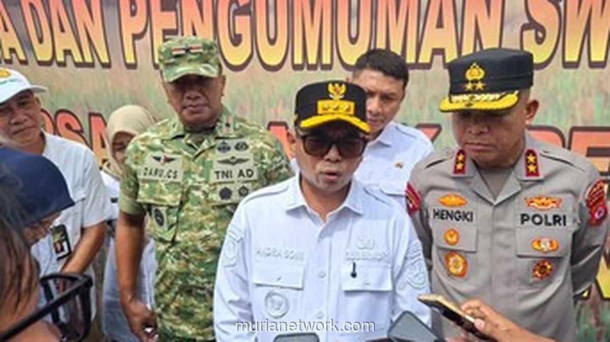 Produksi Padi Banten Melonjak, Surplus Capai 261 Ribu Ton