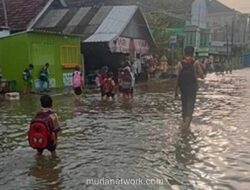 Pintu Kanal Jebol, Tridonorejo Terendam Banjir Rob dan Hujan
