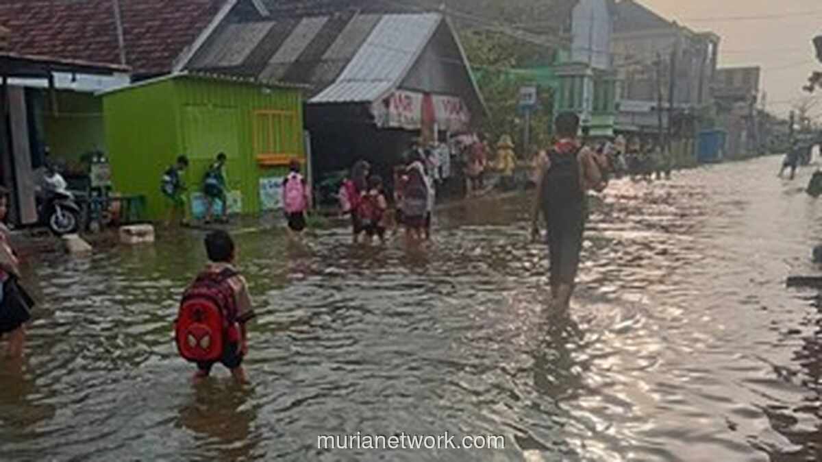Pintu Kanal Jebol, Tridonorejo Terendam Banjir Rob dan Hujan