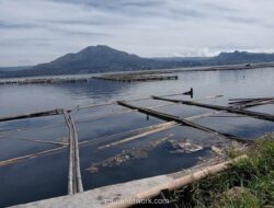 Di Balik Pesona Danau Batur, Ancaman Racun Diam-Diam Mengintai