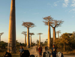 Dari Migrasi Burung hingga Roti yang Digantung: Kisah Empati dalam Lintas Budaya
