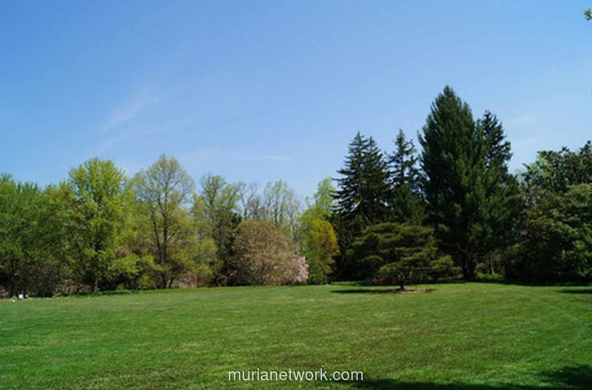 Rumput Liar di Sela Paving: Pelajaran Ketangguhan yang Terlupakan