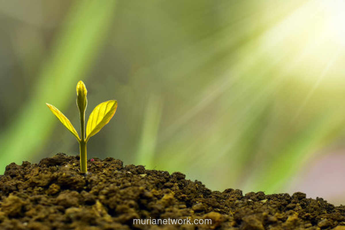 Di Balik Janji SDGs: Ijazah Tak Jamin Masa Depan Anak Muda NTT