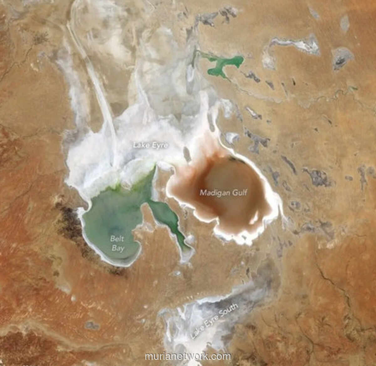 Danau Eyre Terbelah Dua, Warna Airnya Bak Dua Dunia Berbeda