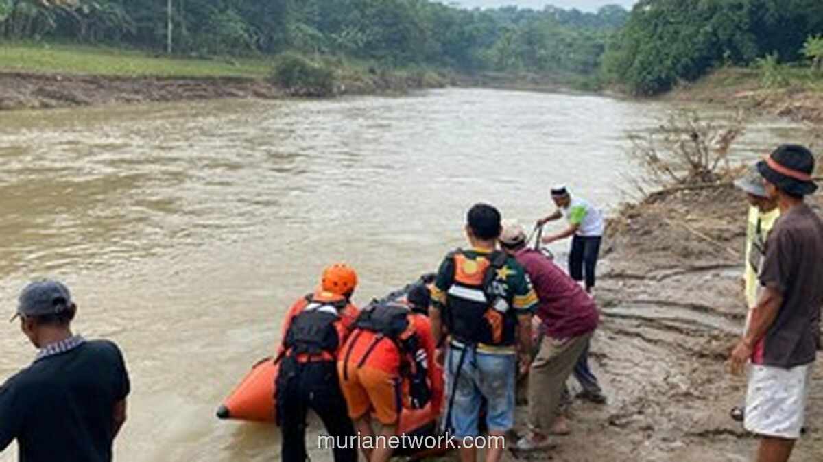 Kakek 70 Tahun Terseret Arus Usai Rakit Batang Pisang Lepas di Sungai Ciujung