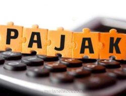 Geliat Lapor Pajak 2025: 531 Ribu SPT Sudah Masuk Sebelum Batas Waktu