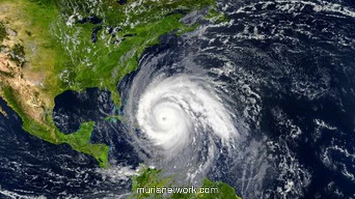 Bencana Beruntun di Afganistan: 14 Nyawa Melayang Akibat Hujan Deras dan Longsor