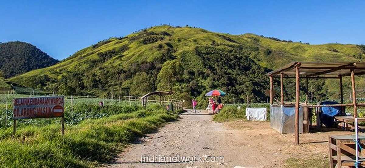 Pendaki Hilang di Bukit Mongkrang, Pencarian Dihadang Kabut dan Hujan Deras