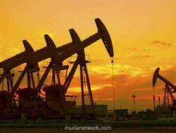 Harga Minyak Diprediksi Tertekan hingga 2026, Baru Pulih Setelahnya