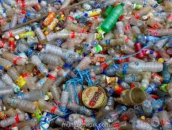 GLOB Pacu Bisnis Baru dengan Teknologi Olah Sampah Sirkular