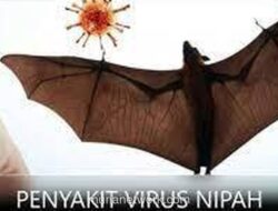 Barantin Siagakan Pengawasan Menyeluruh Jelang Ancaman Virus Nipah