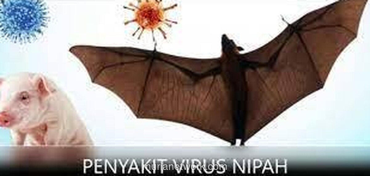 Barantin Siagakan Pengawasan Menyeluruh Jelang Ancaman Virus Nipah