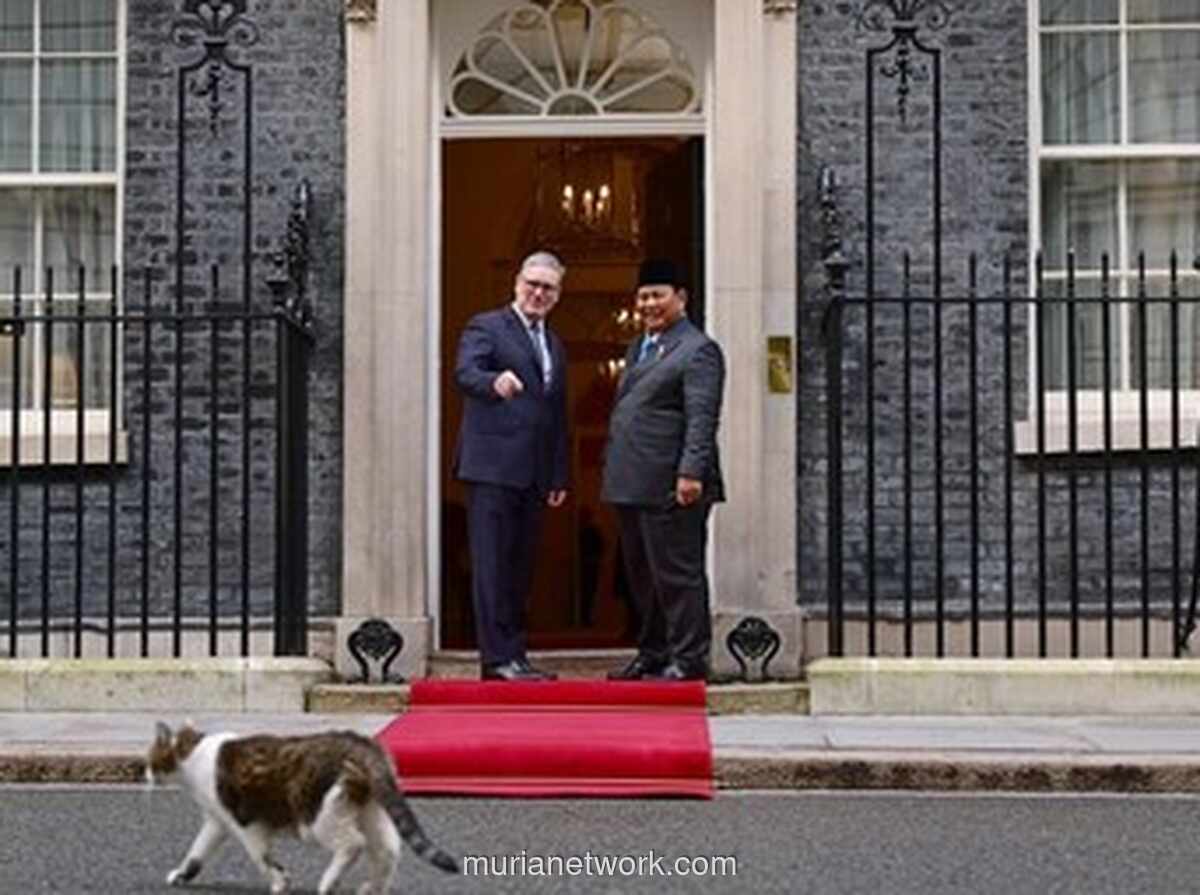 Larry Si Kucing Downing Street Sambut Prabowo di Tengah Kunjungan Kenegaraan