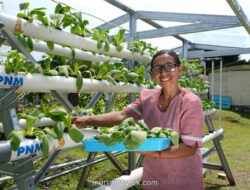 Dari Warung ke Kelas: Kisah Ibu Selly yang Menjaga Sekolah Gratis di Pulau Saparua