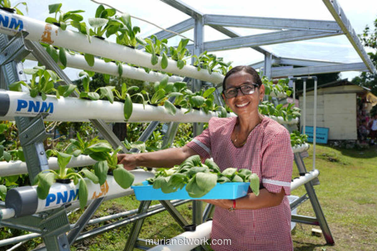 Dari Warung ke Kelas: Kisah Ibu Selly yang Menjaga Sekolah Gratis di Pulau Saparua