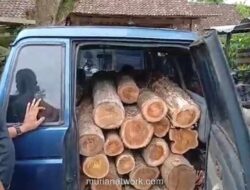 Polisi Ringkus Dua Pelaku Penebangan Liar Jati di Ngawi, Sita Ratusan Gelondongan