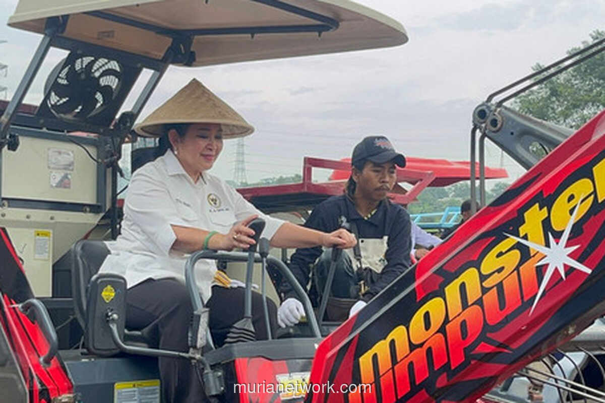 Polri Sumbang 20% Produksi, Jagung Indonesia Capai Swasembada