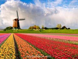 Belanda Geser Islandia, Dinobatkan sebagai Destinasi Teraman di Dunia