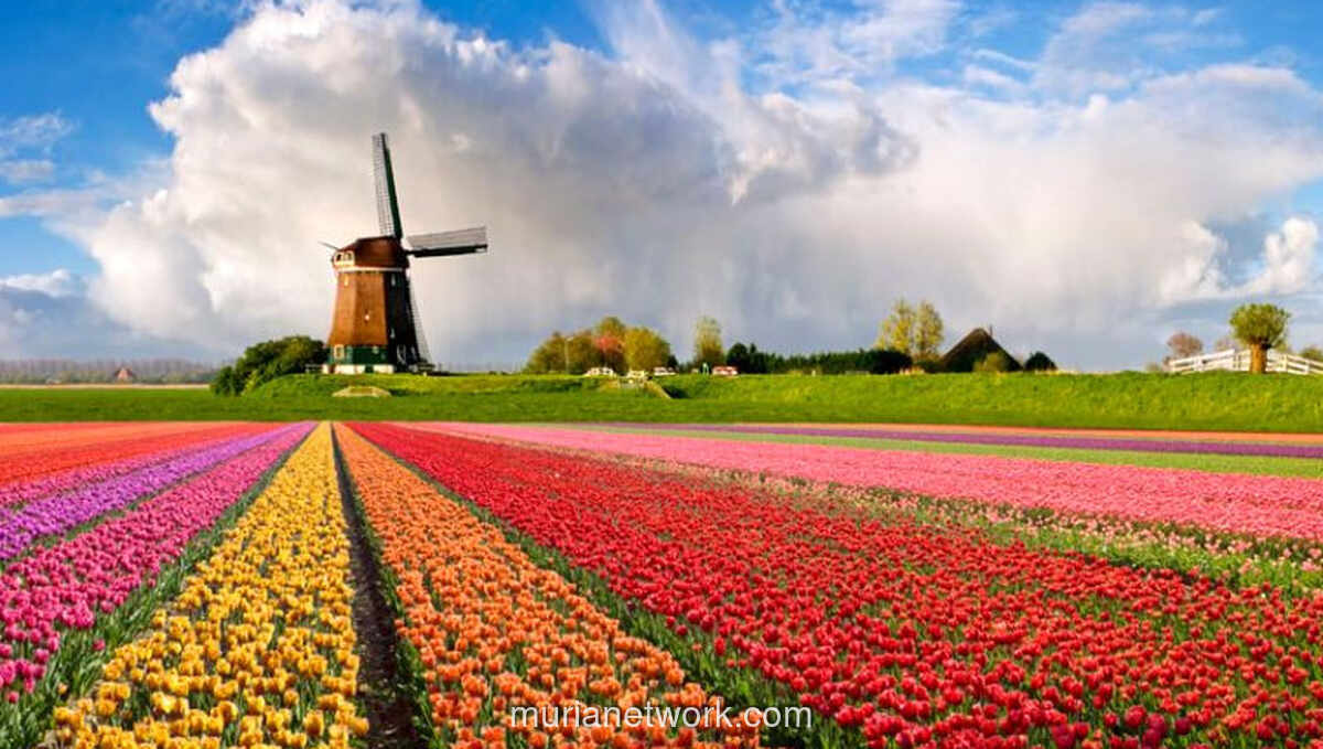 Belanda Geser Islandia, Dinobatkan sebagai Destinasi Teraman di Dunia