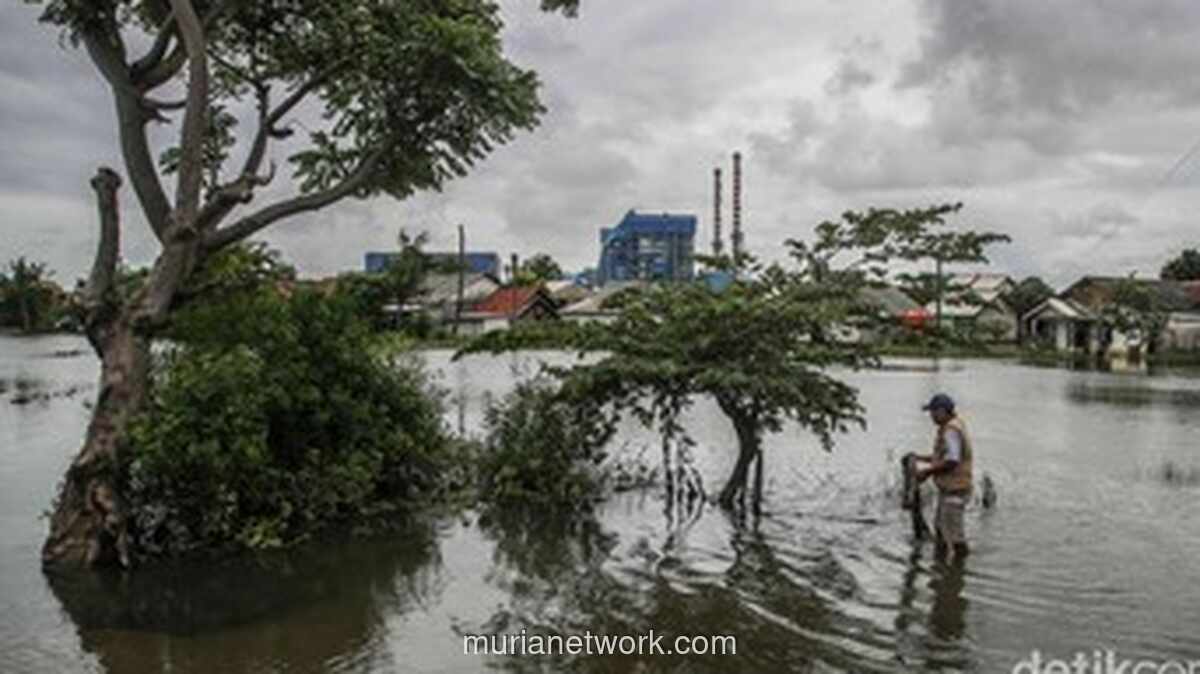 Banjir Rendam 41 Desa di Bekasi, Ribuan Warga Mengungsi